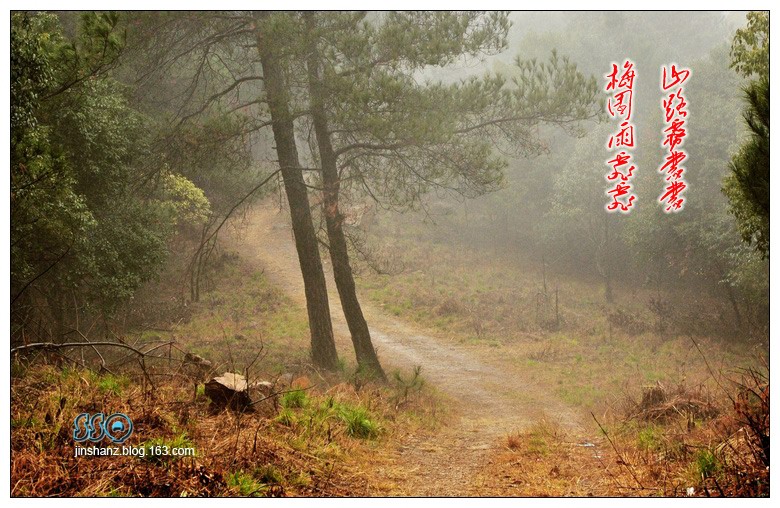 neo_img_pdsc_5378.jpg