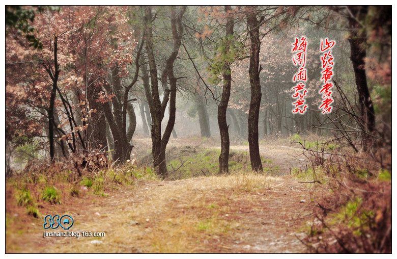 neo_img_pdsc_5370.jpg