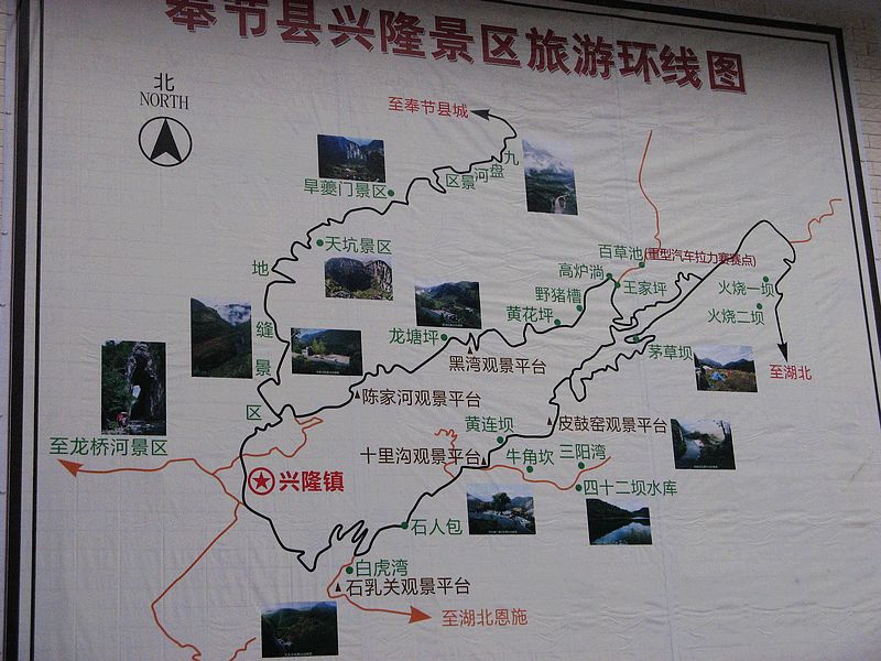 neo_img_img_4404.jpg
