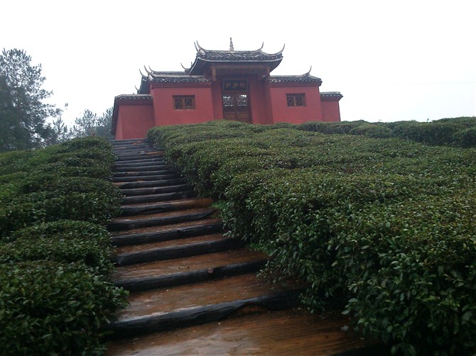 psbcakgz84x.jpg