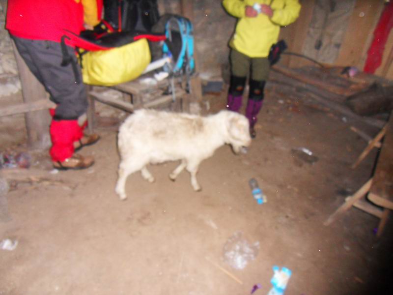 С sdc10032.jpg