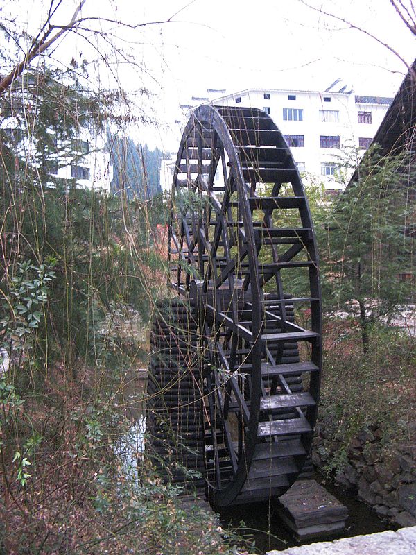 neo_img_img_4430.jpg