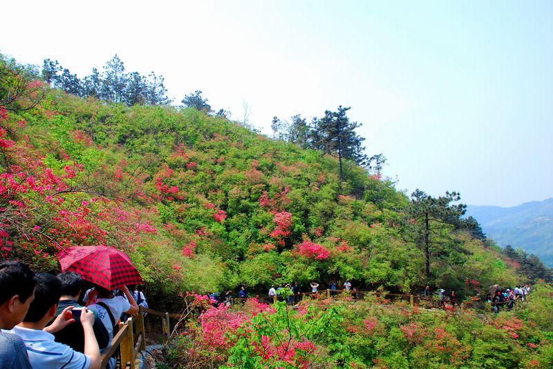 云雾山2011.jpg