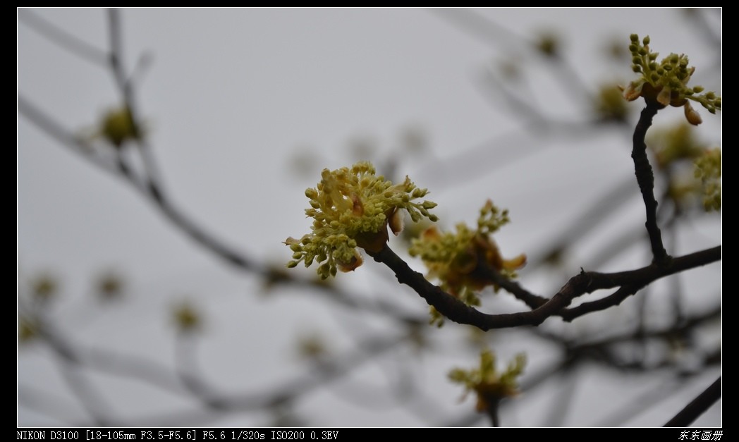 2012.2.20Ͽ287.jpg