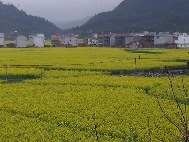 dscf5320.jpg