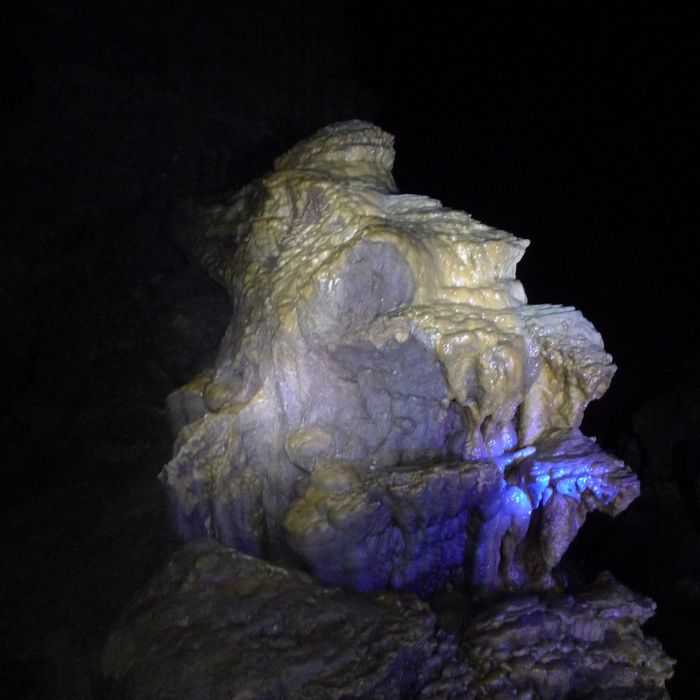 p1190188.jpg