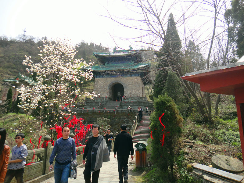 dsc00445_.jpg