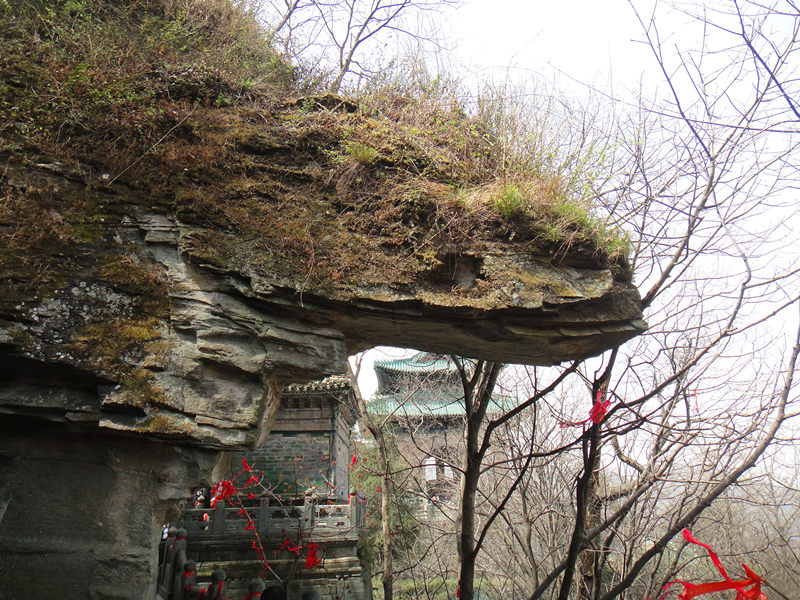 dsc00446_.jpg