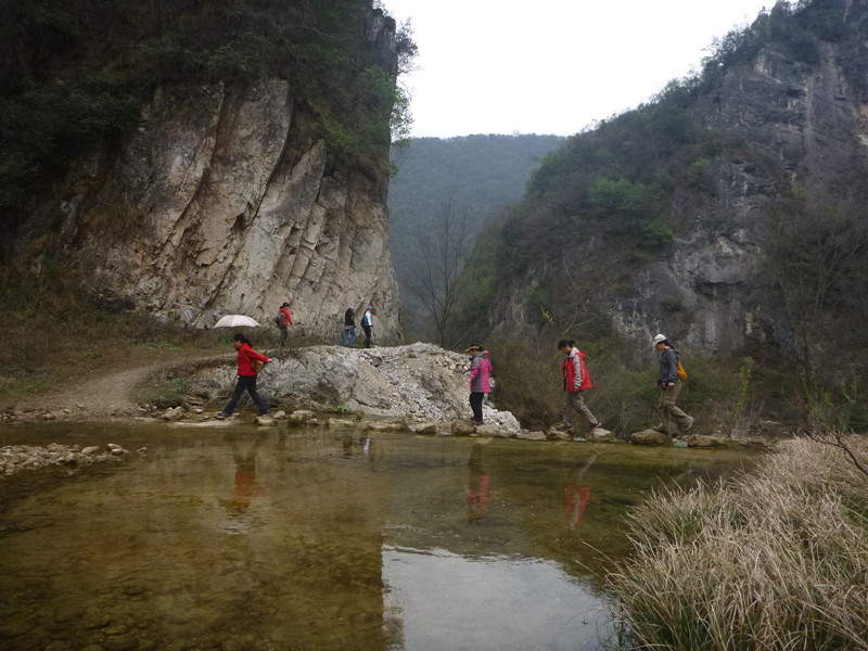 p1110118_.jpg