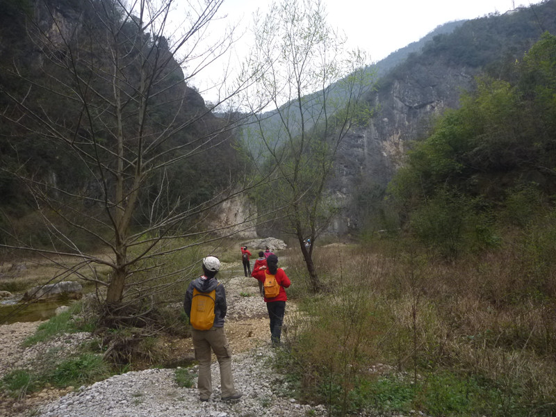 p1110116_.jpg