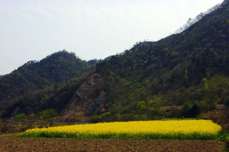 dsc08331.jpg
