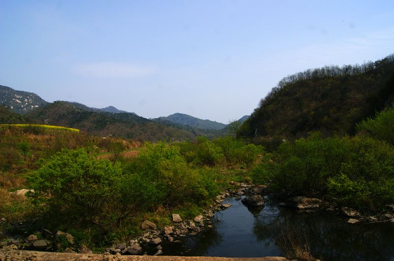 dsc08337.jpg