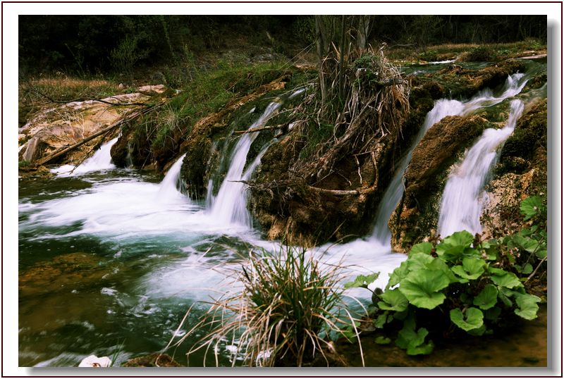 _mg_4033.jpg