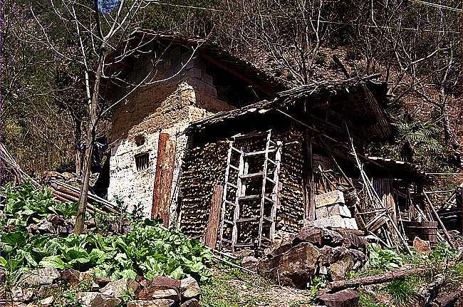 dsc_0705.jpg