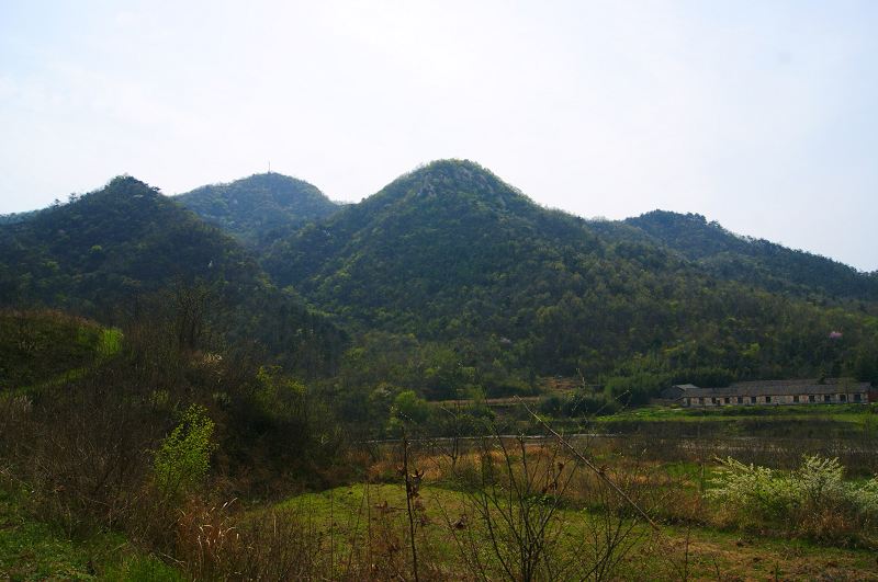 dsc08347.jpg