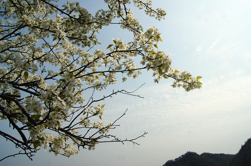 dsc08355.jpg