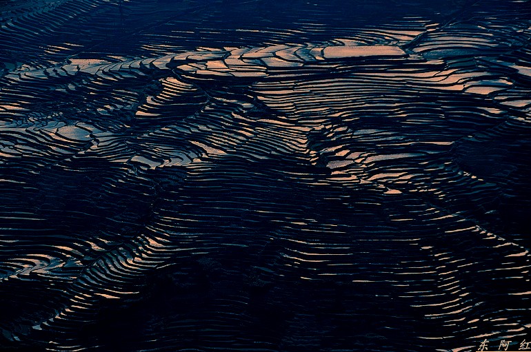 dsc_0154.jpg
