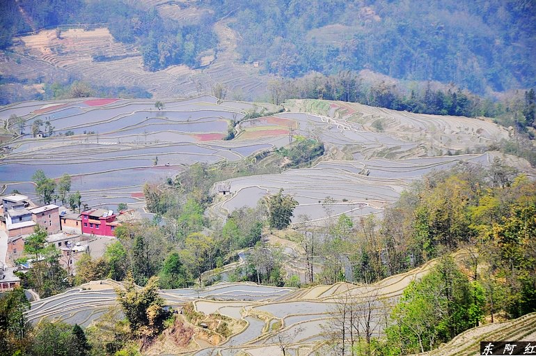dsc_0182.jpg