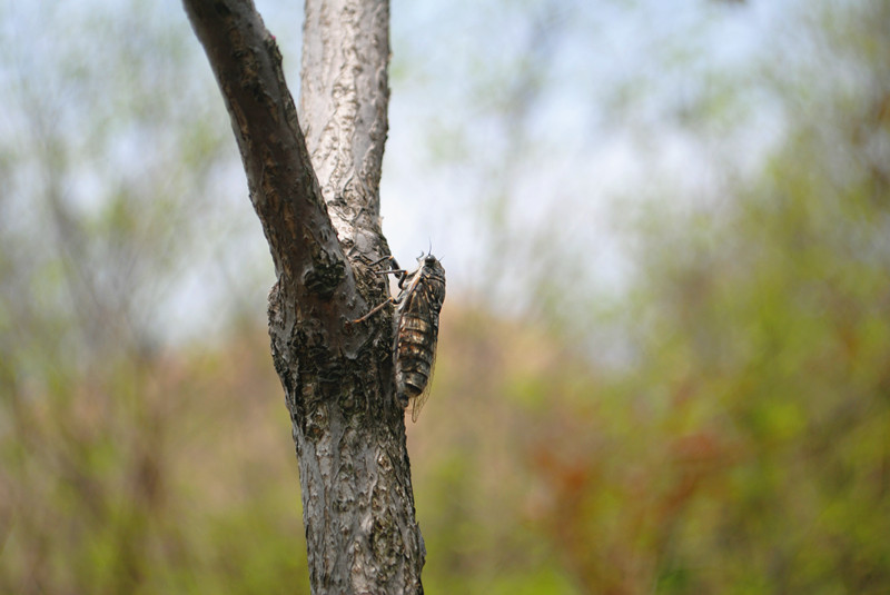 dsc_0591_.jpg