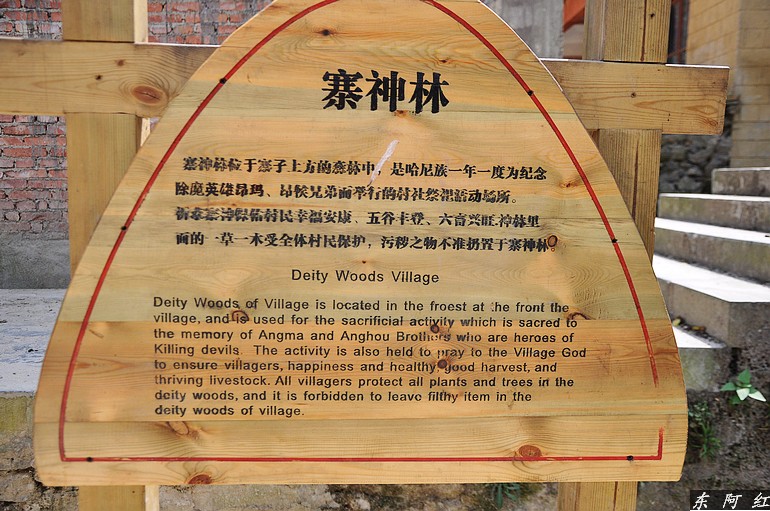 dsc_0222.jpg