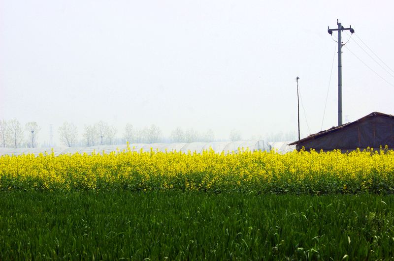 dsc08068.jpg