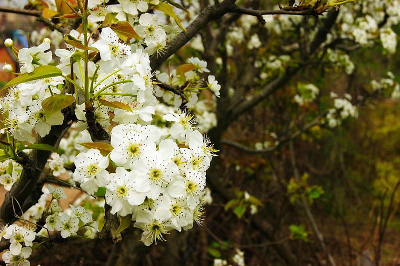 dsc08173.jpg