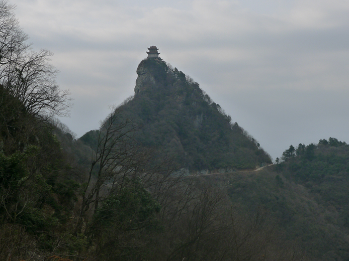 p1030752-1.jpg