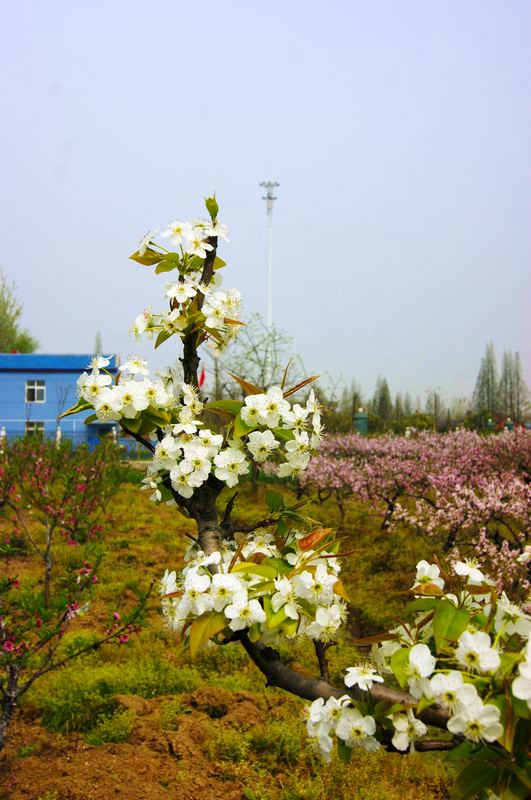 dsc08209.jpg