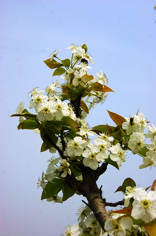 dsc08223.jpg