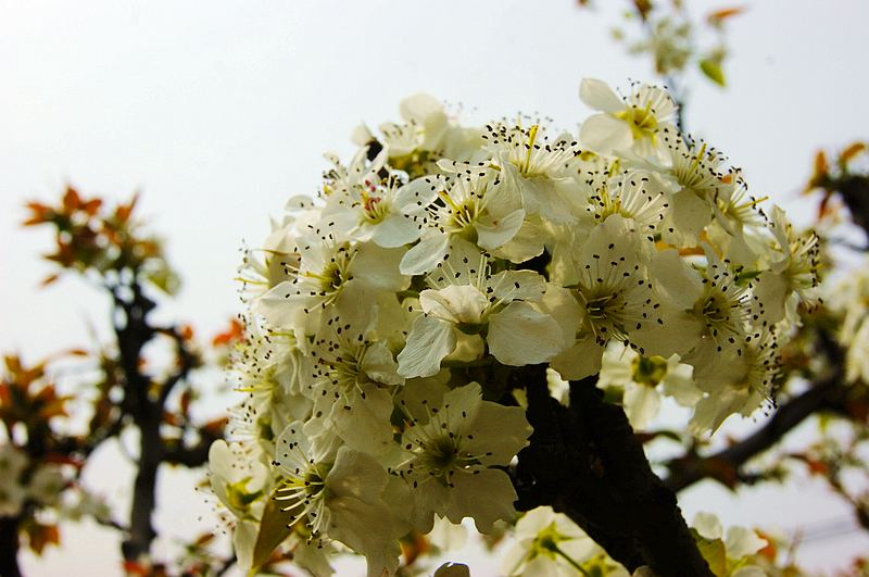 dsc08244.jpg