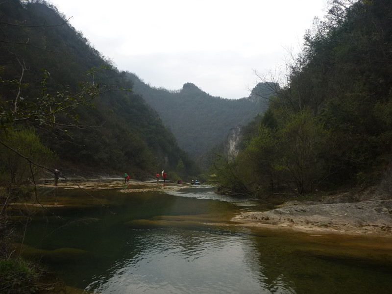 p1110126_.jpg