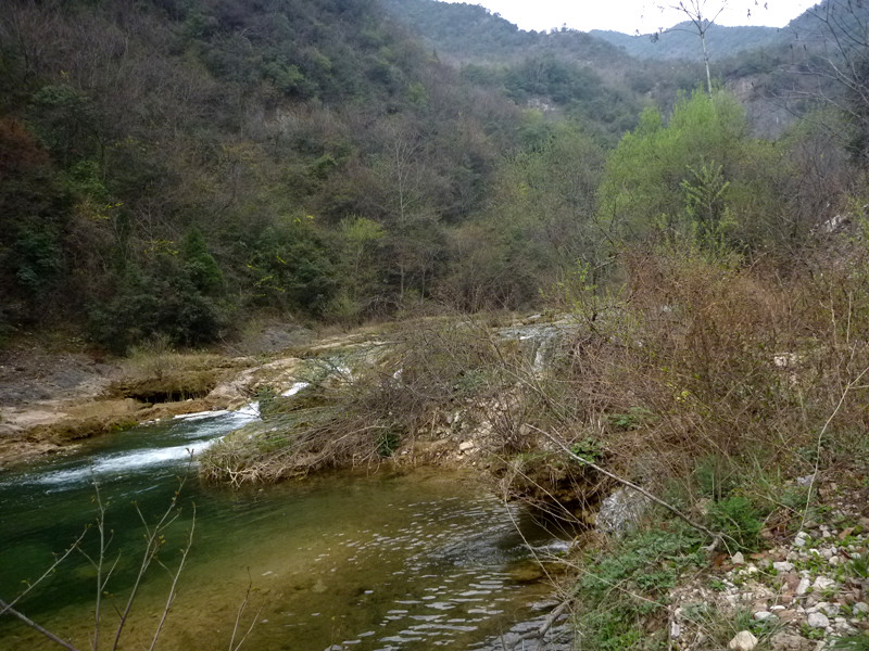 p1110124_.jpg
