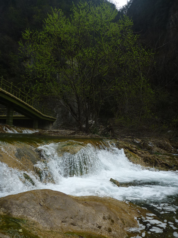 p1110140_.jpg