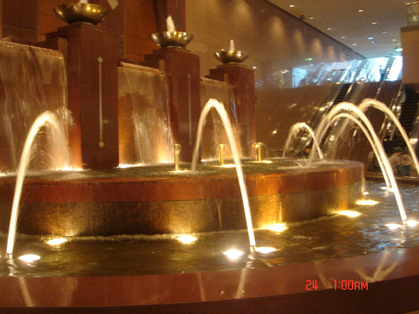 dsc09587.jpg
