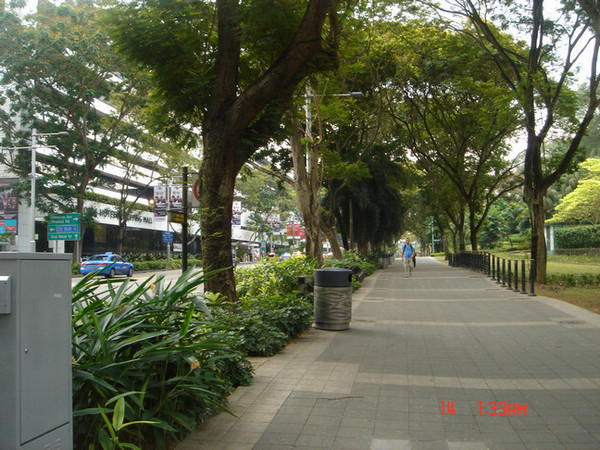 dsc09483.jpg