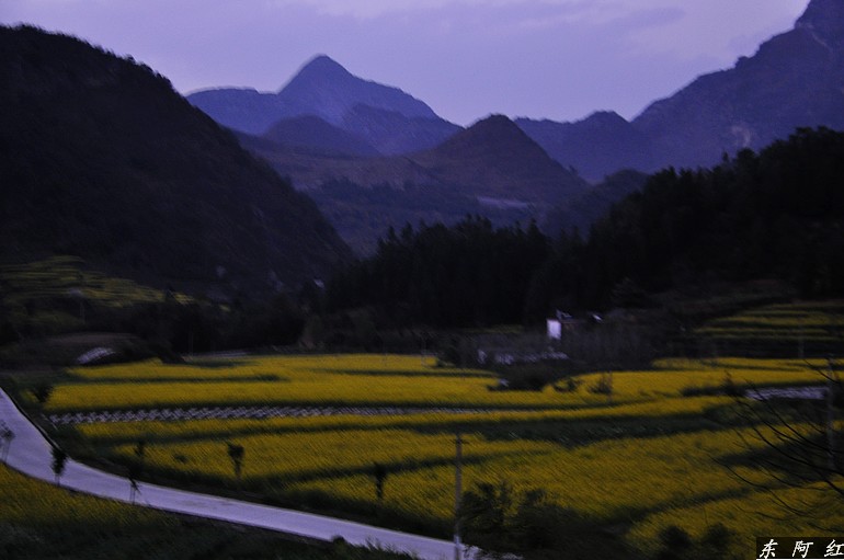 dsc_0385.jpg