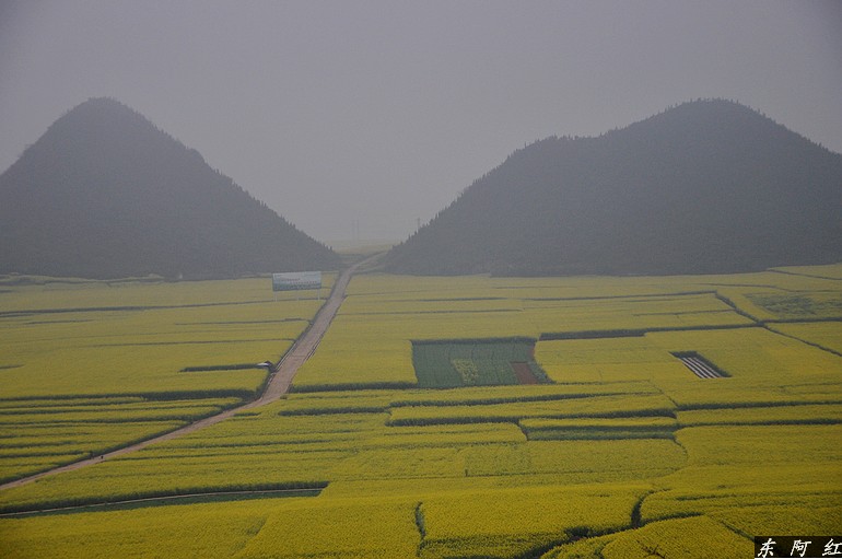 dsc_0400.jpg