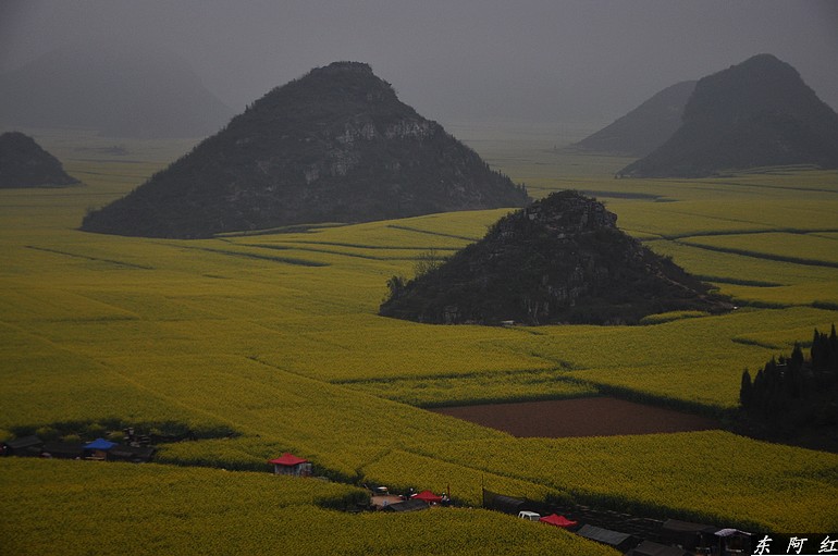 dsc_0403.jpg