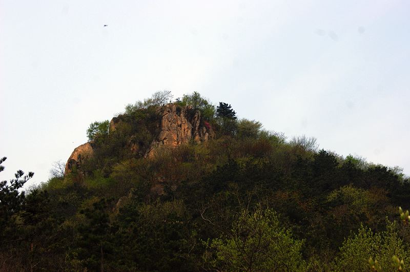 dsc08455.jpg