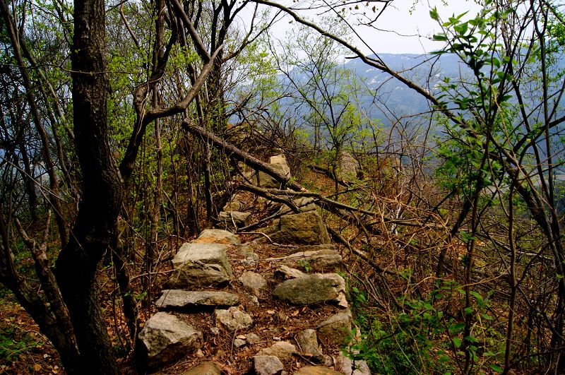dsc08465.jpg