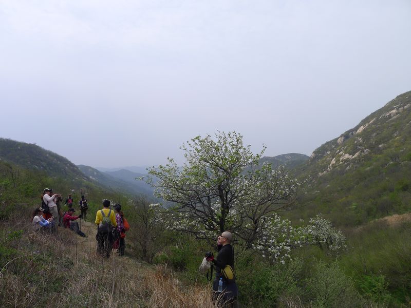 p1210775.jpg