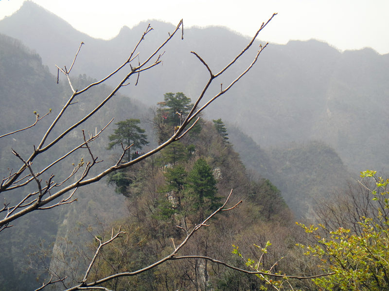 dsc00477_.jpg