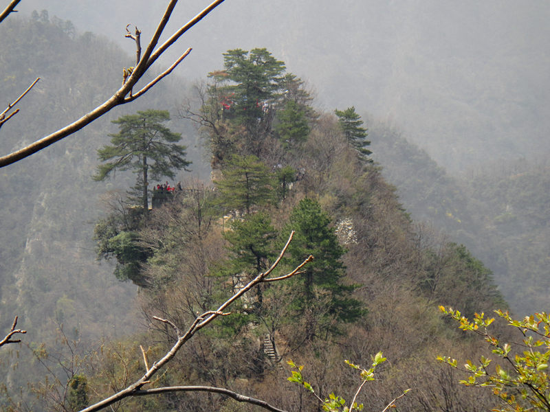 dsc00478_.jpg