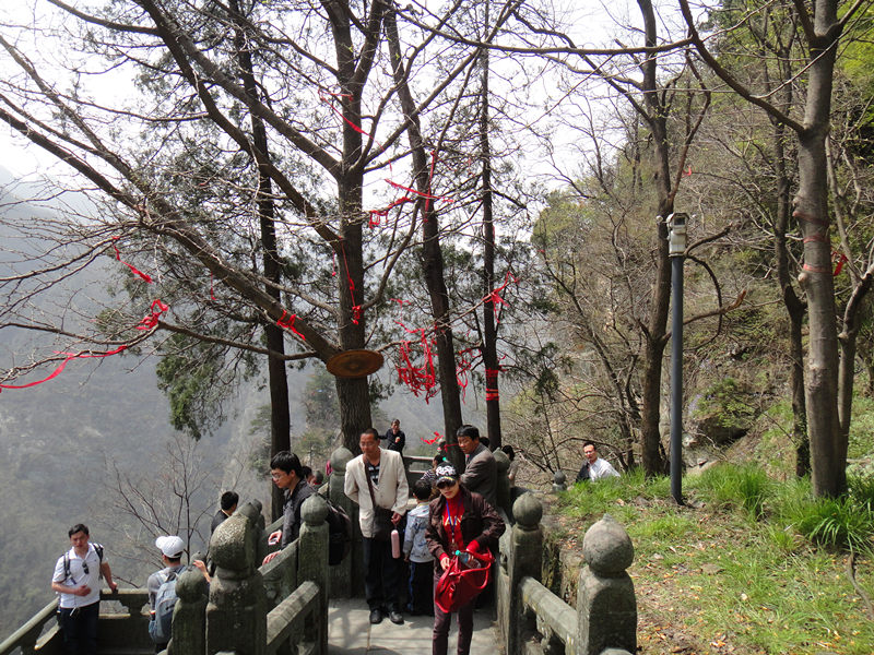 dsc00474_.jpg