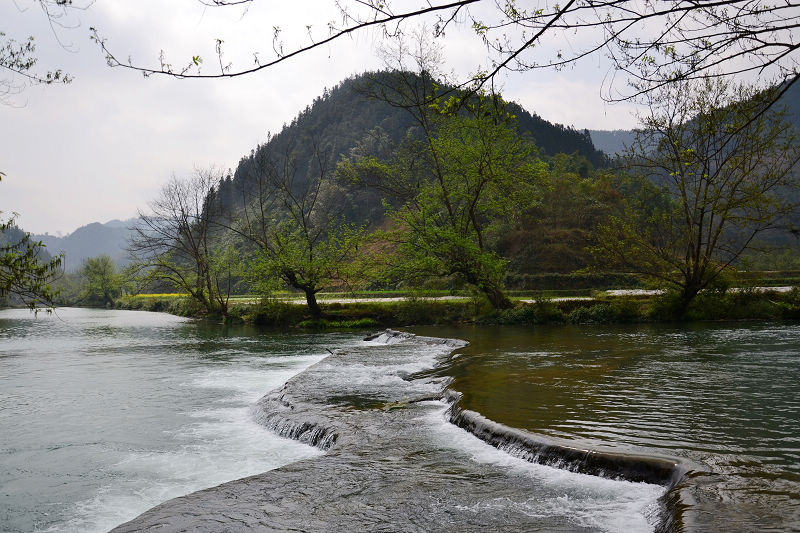 dsc_0111.jpg