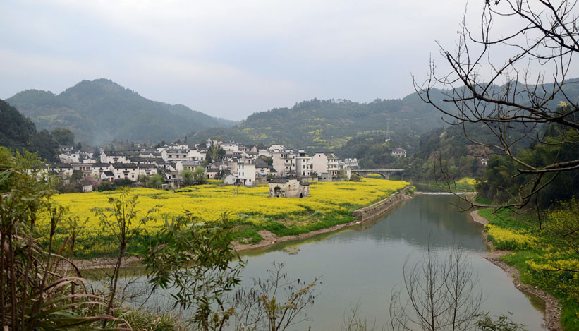dsc_7230.jpg