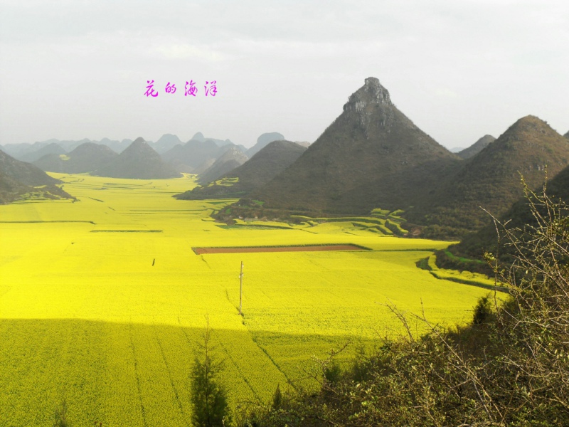 sdc10272.jpg