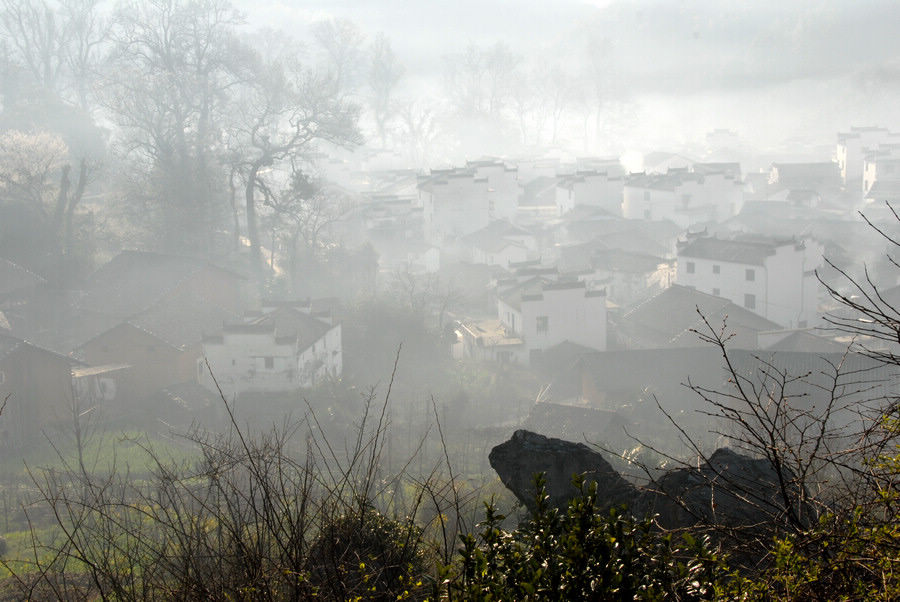 dsc_0157.jpg