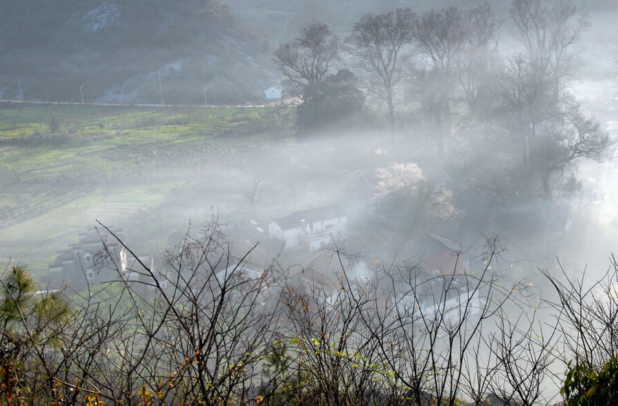 dsc_0096.jpg