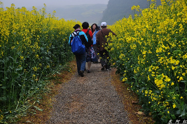 dsc_0470.jpg